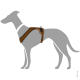 Illustration eines grauen Hundes, der ein braunes Geschirr trägt, das das Design und die Passform des Geschirrs zeigt.