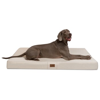 Tierlando ® HUGO Ortho Plus Orthopädische Hundematratze creme 1,2 m, 13 cm, 90 cm