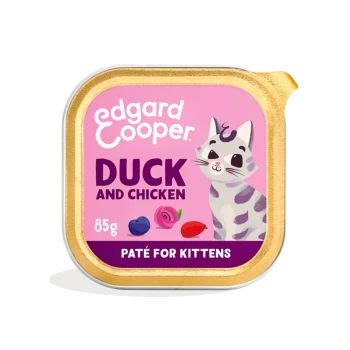 Edgard Cooper 85g pink tray: Duck and Chicken pate for kittens with gray tabby kitten illustration and fruit icons