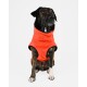 Hundepullover Fleece Orange XXXS