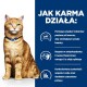 Obraz kota z niebieską obrożą, towarzyszący tekstowi opisującemu działanie karmy, w tym poziomy pH, zawartość omega-3 i kontrolę minerałów.
