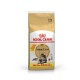 Royal Canin Maine Coon Erwachsenenfutter, 12 kg, mit einem Bild einer Maine Coon Katze und dem Text '10KG + 2KG GRATIS'.