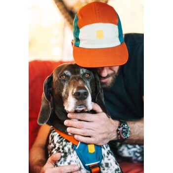 Mann mit oranger Kappe kuschelt mit braun-weiß geschecktem Hund, der ein blaues Geschirr mit gelbem Logo-Patch trägt