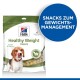 Eine Verpackung von Hill's Healthy Weight Hundeleckerlis mit einem Beagle, der sich die Lippen leckt, beschriftet mit "Knusprig & Köstlich" und "Gewichtsmanagement."