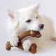 A fluffy white pet is holding a brown chew bone toy with its paws, set against a plain white background.