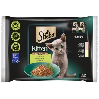 Sheba Kitten-Futterverpackung mit einer Schüssel mit feuchtem Katzenfutter in Sauce, mit Geschmacksrichtungen von Lachs und Huhn, geeignet für Kätzchen im Alter von 2-12 Monaten.