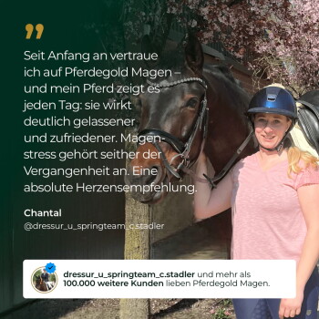 Unscharfer Reiter mit Helm auf braunem Pferd unter Blüten; sichtbarer Text: 'Pferdegold Magen' und '100.000 weitere Kunden'.