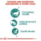 Image promouvant une nutrition sur mesure pour les chats, présentant trois icônes : "Complexe vitalité," "Instinctivement préféré," et "Santé rénale."