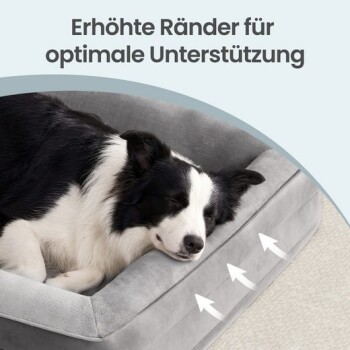 Schwarz-weißer Hund schläft in grauem Bett mit erhöhter Kante; Pfeile zeigen die Unterstützung an. Erhöhte Ränder für optimale Unterstützung.