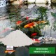 Bild eines Koi-Teichs mit bunten Fischen, mit einem Haufen weißem Pulver und dem Text 'SEHR HOHER REINHEITSGEHALT' auf grünem Hintergrund.