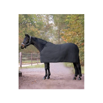 Ein schwarzes Pferd, das eine passende schwarze Decke trägt, steht auf einem Schotterweg, umgeben von Bäumen, und zeigt eine ruhige Außenumgebung.