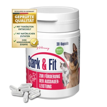 Behälter mit "Stark & Fit" Kapseln für Haustiere, mit einem Hund und einer Katze auf dem Etikett, im Hintergrund lila Blumen und grüne Blätter.