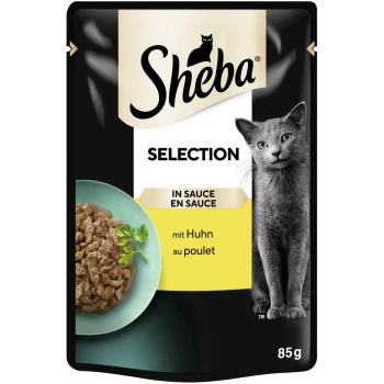 Selection in Sauce 28x85 g Huhn Sheba Katzenfutterbeutel mit einer grauen Katze, einer Schüssel mit Nassfutter und Kräutern sowie dem Text 'Selection in Sauce mit Huhn au poulet, 85g.'