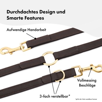 Braune Leder-Hundeleine mit goldenen Beschlägen, mit verstellbarer Länge, hervorgehoben mit deutschem Text, der ihr Design und ihre Eigenschaften beschreibt.