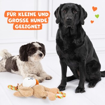 Zwei Hunde, ein kleiner schwarz-weißer Hund und ein großer schwarzer Hund, sitzen neben einem Plüschspielzeug. Der Text lautet "FÜR KLEINE UND GROSSE HUNDE GEEIGNET."