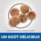 Image de croquettes pour animaux de compagnie avec six morceaux bruns sur un fond clair. Texte : 'UN GOÛT DÉLICIEUX' et 'Taille 4 x 7,5 mm.'