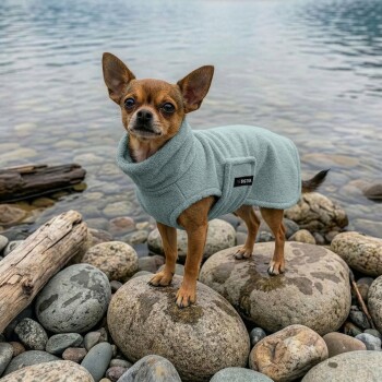 Nahaufnahme einer weichen, türkisfarbenen Haustierdecke mit einem sichtbaren silbernen Druckknopf, die ihre plüschige Textur zeigt.