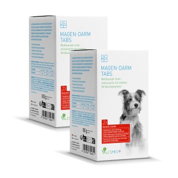 Schachtel mit Magen-Darm-Tabletten für Hunde, mit einem Hund auf der Vorderseite, mit Text, der die Verdauungsunterstützung und probiotische Vorteile hervorhebt.