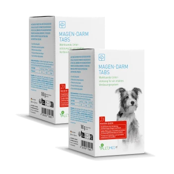Schachtel mit Magen-Darm-Tabletten für Hunde, mit einem Hund auf der Vorderseite, mit Text, der die Verdauungsunterstützung und probiotische Vorteile hervorhebt.