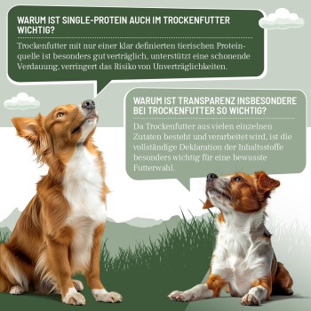 Zwei braun-weiße Hunde mit deutschen Sprechblasen über Proteinquelle und Transparenz bei Trockenfutter.