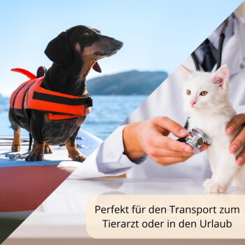 Dackel mit orangefarbener Rettungsweste auf einem Boot; weißes Kätzchen wird vom Tierarzt untersucht. Sichtbarer deutscher Text über Transport zum Tierarzt oder in den Urlaub.
