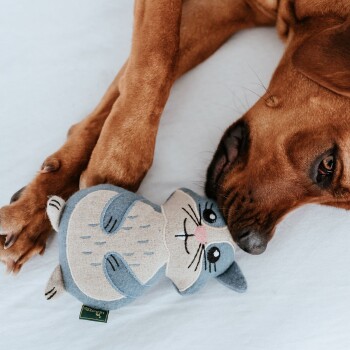 Ein brauner Hund hält sanft ein plüschiges Spielzeug in Form einer Katze, das ein blau-beiges Design mit einem süßen Gesicht hat, auf einer weißen Oberfläche.
