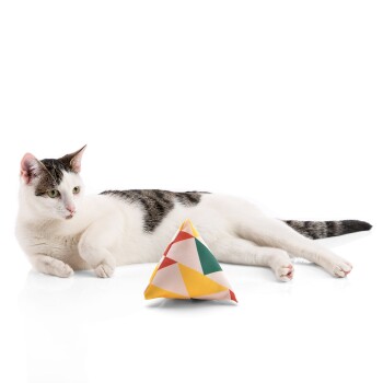 Eine entspannte weiße Katze mit schwarzen Flecken liegt neben einem bunten dreieckigen Spielzeug mit geometrischen Mustern in Gelb, Rot und Grün.