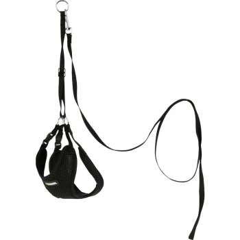 Welpengeschirr mit Leine schwarz 30 - 50 cm/10 mm