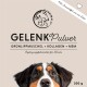 GelenkPulver für Hunde, mit grünlippigen Muscheln, Kollagen und MSM; beinhaltet eine Nahaufnahme eines Hundegesichts und Produktdetails.