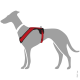 Illustration eines grauen Hundes, der ein rotes Geschirr trägt, das das Design und die Passform des Geschirrs zeigt.