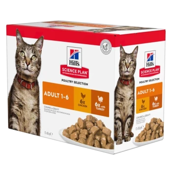 Hill's Science Plan Poultry Selection Katzenfutterbox mit einer getigerten Katze, beschriftet 'Erwachsene 1-6', mit 6 Portionen Huhn und 6 Portionen Truthahn.