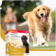 Ein Golden Retriever nähert sich der Kamera, mit einer Box Beaphar 'Bonbons' Hundeleckerlis mit Knoblauch und Omega 3&6 im Vordergrund.