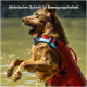 Ein Golden Retriever, der fröhlich im Wasser planscht, trägt eine rot-blaue Schwimmweste, mit dem Text 'Athletischer Schnitt für Bewegungsfreiheit' darüber.