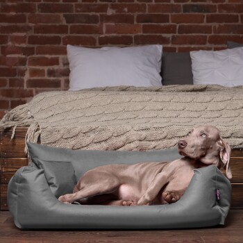 Ein entspannter grauer Hund, der in einem plüschigen grauen Hundebett liegt, mit einer gemütlichen gestrickten Decke und Kissen im Hintergrund vor einer Ziegelwand.