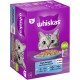 Whiskas Katzenfutterbox mit dem Gesicht einer grauen Katze, beschriftet mit "Fisch Auswahl" und Geschmacksrichtungen wie Lachs und Thunfisch, in Gelee.