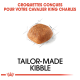 Image d'un morceau de croquette avec un contour esquissé, présentant le texte "CROQUETTES CONÇUES POUR VOTRE CAVALIER KING CHARLES" et "TAILOR-MADE KIBBLE."