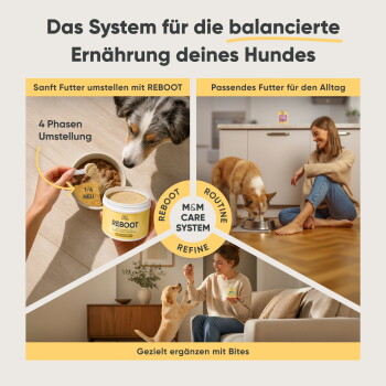 Ein Tierarzt hält einen kleinen Hund, während er "Milo & Mia Daily Bites" für die Verdauungsgesundheit bewirbt, mit einer gelben Dose, die "Magen & Darm" beschriftet ist.