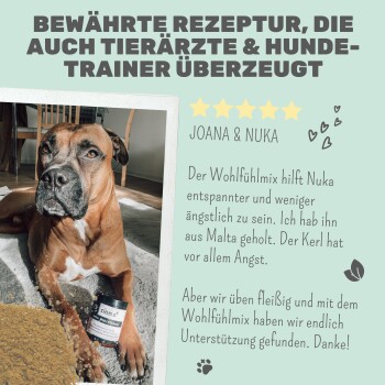 Ein entspannter Hund liegt auf dem Boden neben einem Glas "Wohlfühlmix", mit einem Testimonial von Joana, die seine beruhigende Wirkung lobt.