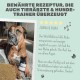 Ein entspannter Hund liegt auf dem Boden neben einem Glas "Wohlfühlmix", mit einem Testimonial von Joana, die seine beruhigende Wirkung lobt.