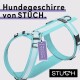 Geschirr Hund gepolstert türkis M