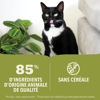 Un chat noir et blanc se lèche les lèvres, se tenant à côté d'une plante verte. Le texte indique "85% d'ingrédients d'origine animale de qualité" et "Sans céréale."