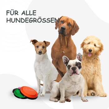 Vier Hunde unterschiedlicher Größe sitzen neben bunten Hundefrisbees mit dem Text „FÜR ALLE HUNDEGRÖSSEN“ im Hintergrund.