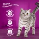 Mega Pack 1+ Fisch Auswahl in Gelee 40 x 85g