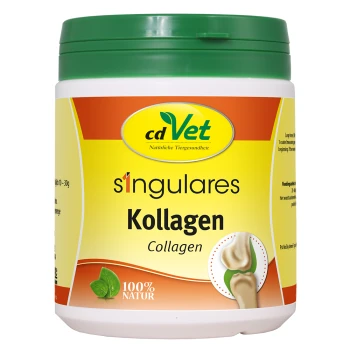 Behälter mit cdVet Kollagenpräparat für Haustiere, gekennzeichnet mit 's'ingulares Kollagen', mit einem grünen Deckel und einer Grafik eines gesunden Gelenks.