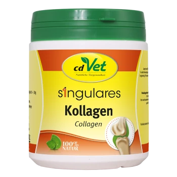 Behälter mit cdVet Kollagenpräparat für Haustiere, gekennzeichnet mit 's'ingulares Kollagen', mit einem grünen Deckel und einer Grafik eines gesunden Gelenks.
