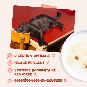 Chat noir dormant sur une table rouge ; texte : digestion, pelage brillant, immunité renforcée cochés ; compétences en couture barrées.