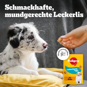 Welpe schaut auf eine Hand, die einen Leckerbissen anbietet, mit einer Pedigree Leckerbissen Tasty Minis Hundesnack-Tüte und deutschem Text.