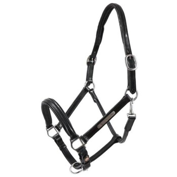 Hans Melzer Halfter Schwaiganger schwarz/silber Pony