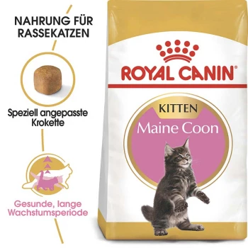 Eine Tüte Royal Canin Maine Coon Kittenfutter mit einer spielerischen Kätzchenillustration, mit Text, der maßgeschneiderte Kroketten und gesundes Wachstum hervorhebt.