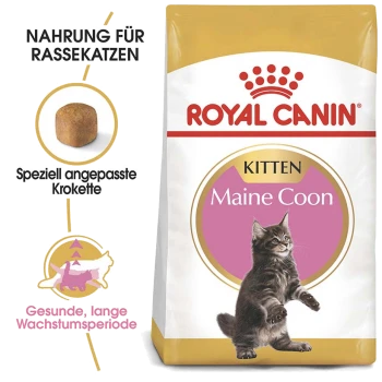 Eine Tüte Royal Canin Maine Coon Kittenfutter mit einer spielerischen Kätzchenillustration, mit Text, der maßgeschneiderte Kroketten und gesundes Wachstum hervorhebt.